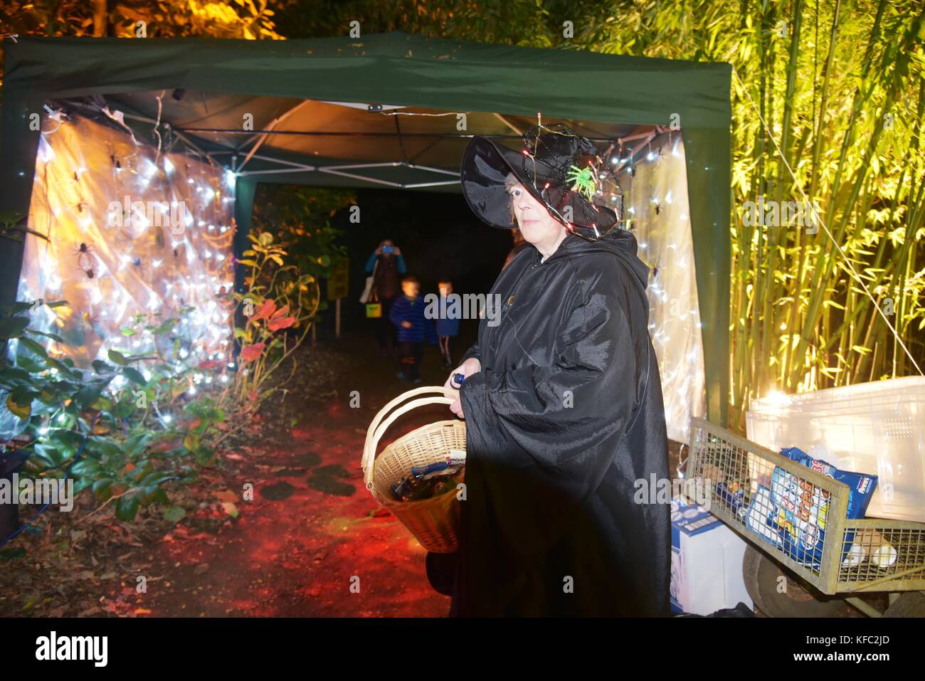 Abbotsbury dorset, UK 27 octobre 2017 des centaines de personnes ont visité pour voir projecteurs dans jardin subtropical ce soir. 27 octobre, 2017. abbotsbury, dorset, UK. crédit : Ajit wick/Alamy live news Banque D'Images