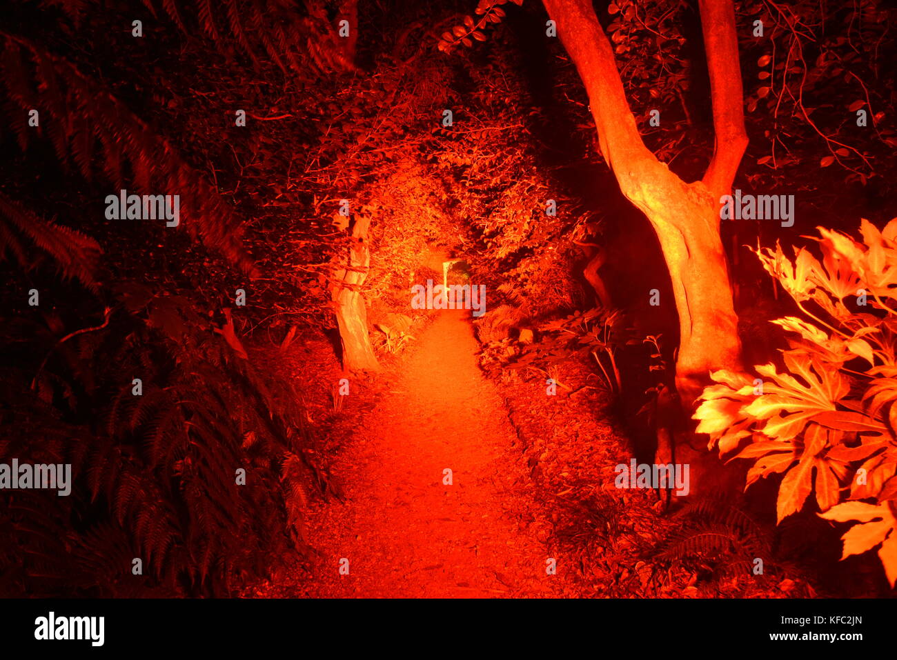 Abbotsbury dorset, UK 27 octobre 2017 des centaines de personnes ont visité pour voir projecteurs dans jardin subtropical ce soir. 27 octobre, 2017. abbotsbury, dorset, UK. crédit : Ajit wick/Alamy live news Banque D'Images