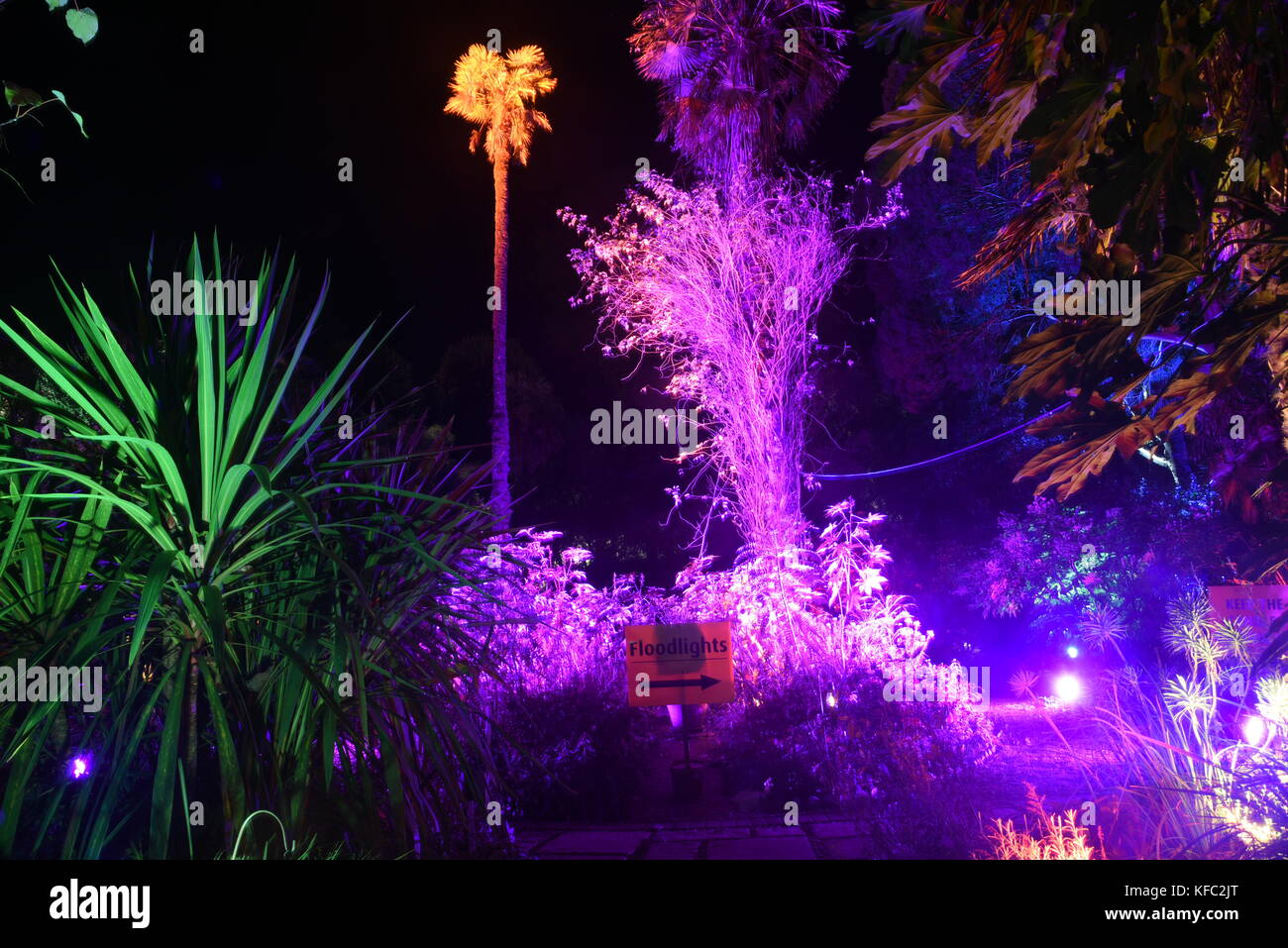 Abbotsbury dorset, UK 27 octobre 2017 des centaines de personnes ont visité pour voir projecteurs dans jardin subtropical ce soir. 27 octobre, 2017. abbotsbury, dorset, UK. crédit : Ajit wick/Alamy live news Banque D'Images