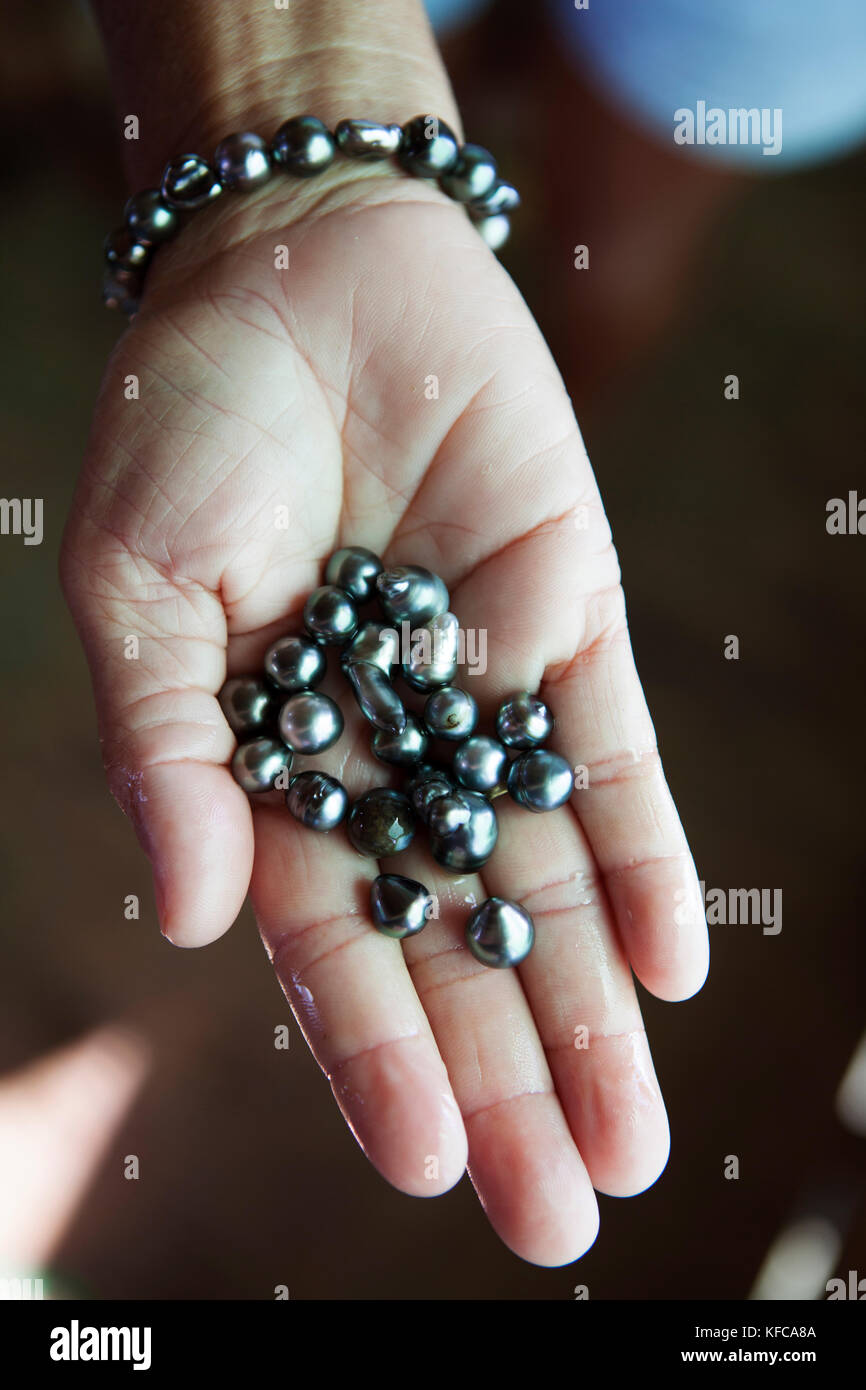 Raiatea, Polynésie française. Black pearls au Raimana Pearl Farm. Banque D'Images