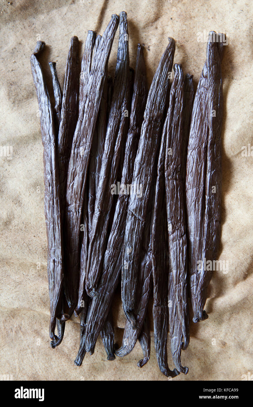 Polynésie Française, Île de Tahaa. À la vanille vanille Famille Hansen ferme. Banque D'Images