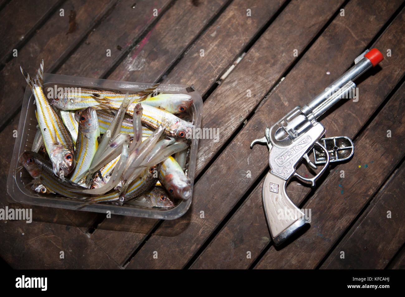 Moorea, Polynésie française. Toujours en vie les poissons et arme-jouet. Banque D'Images