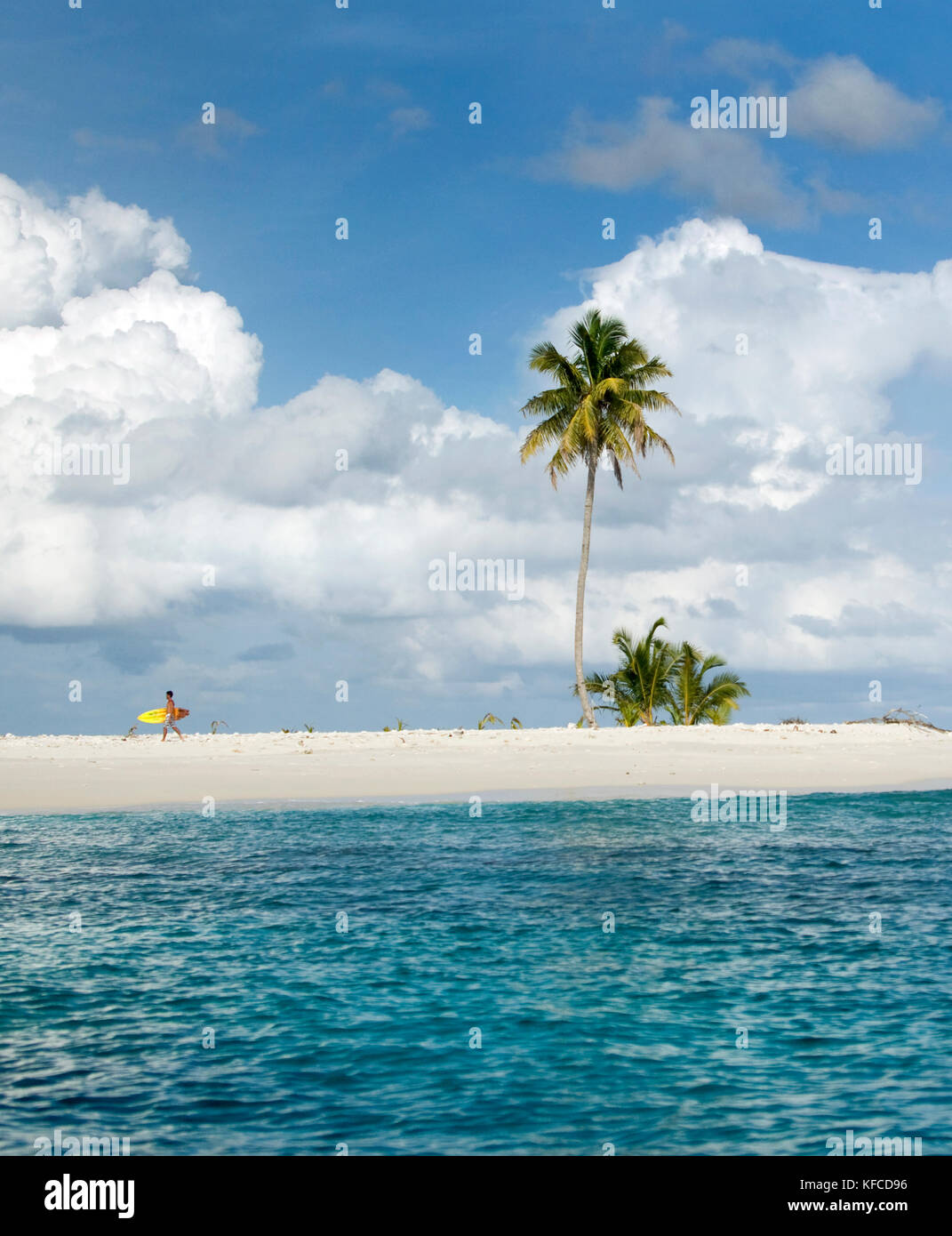 L'Indonésie, les îles Mentawai, kandui left resort, man walking with surfboard sur une petite île avec un palmier Banque D'Images