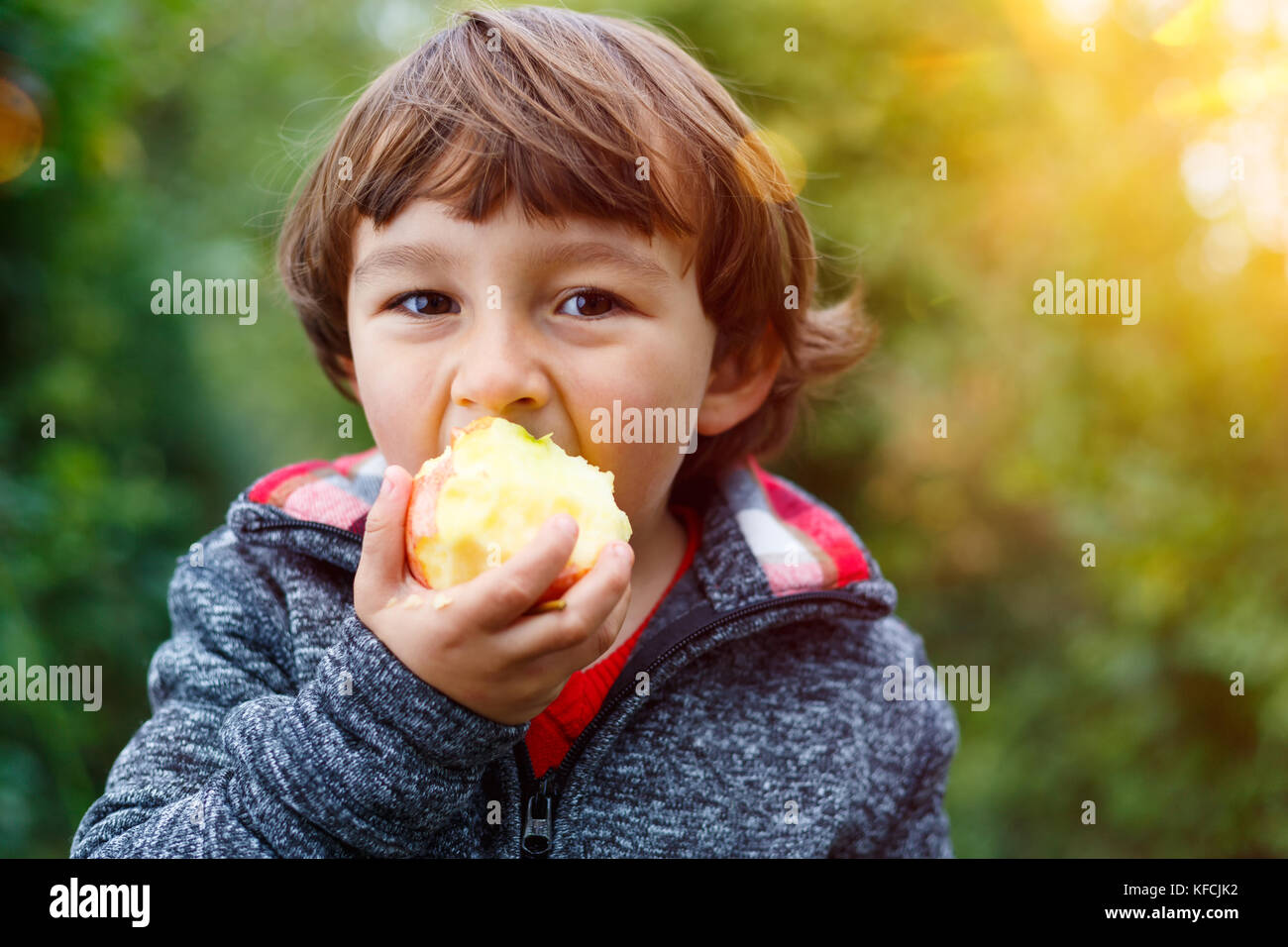 Petit garçon enfant kid manger pomme fruit piscine plein air sain nature automne chute Banque D'Images