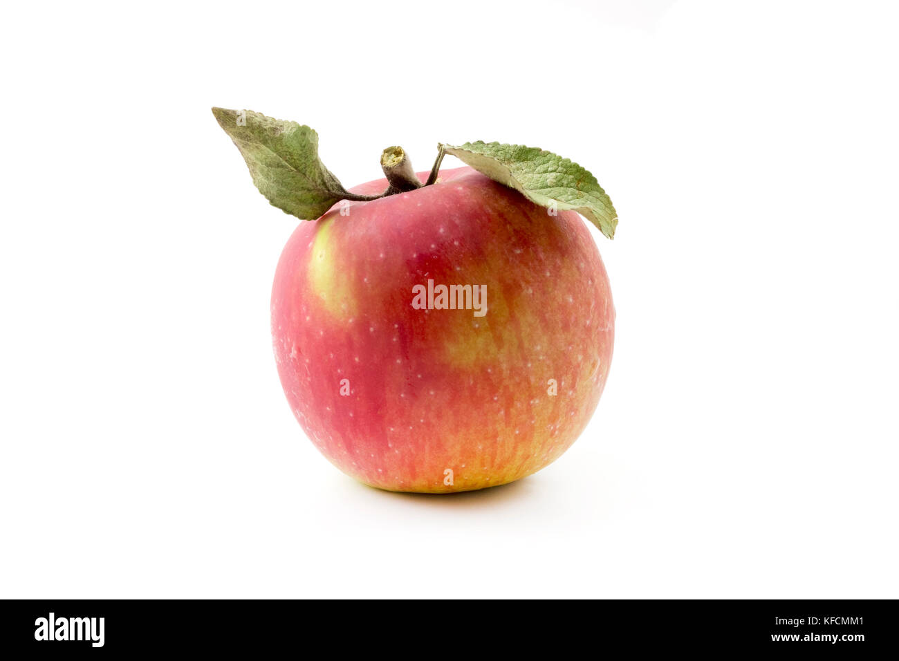 Une pomme rouge sur un fond blanc Banque D'Images