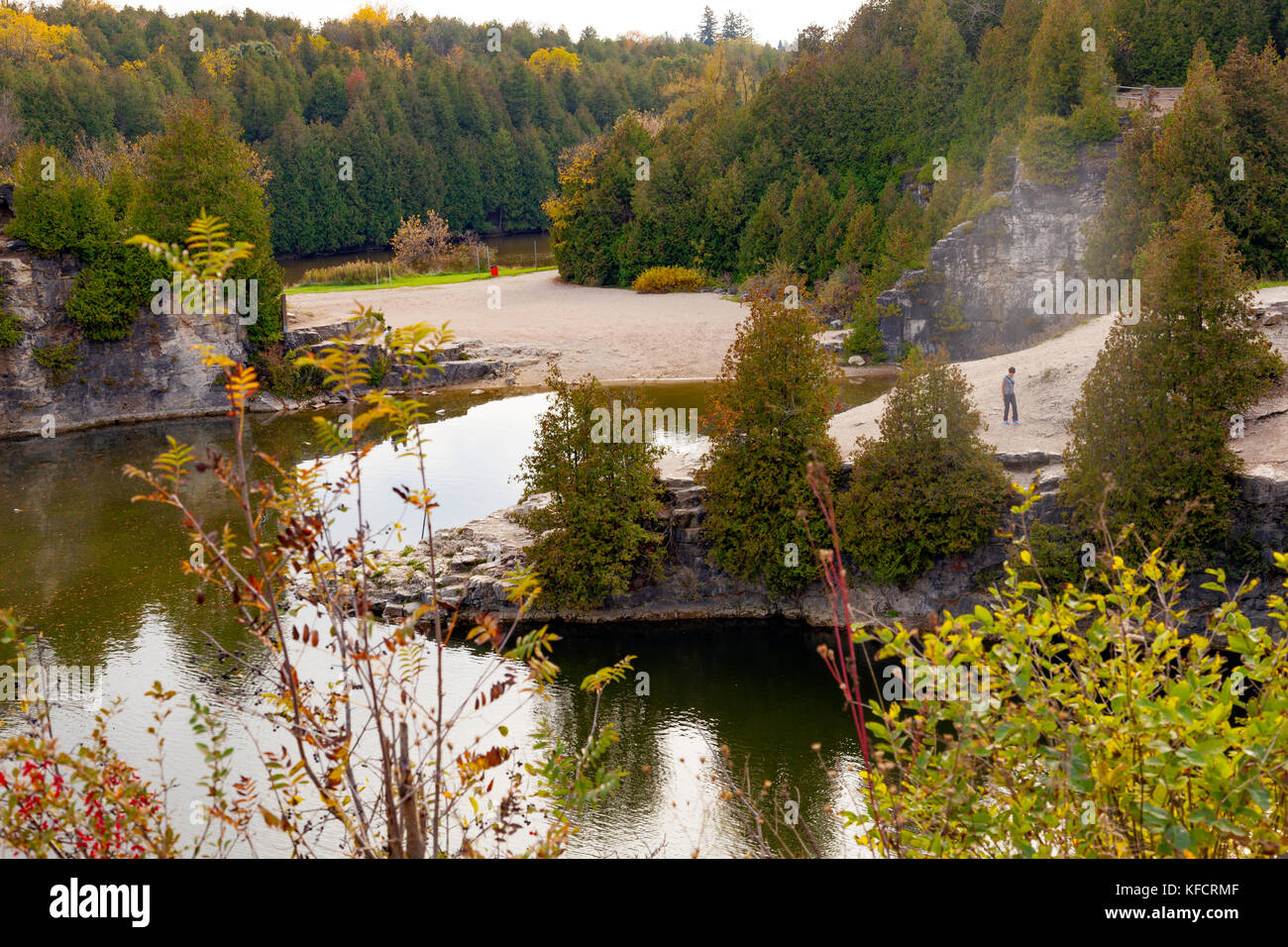 Conservation dans la gorge d'ELORA Elora,Ontario,Canada,par la rivière Grand et la gorge d'Elora Banque D'Images