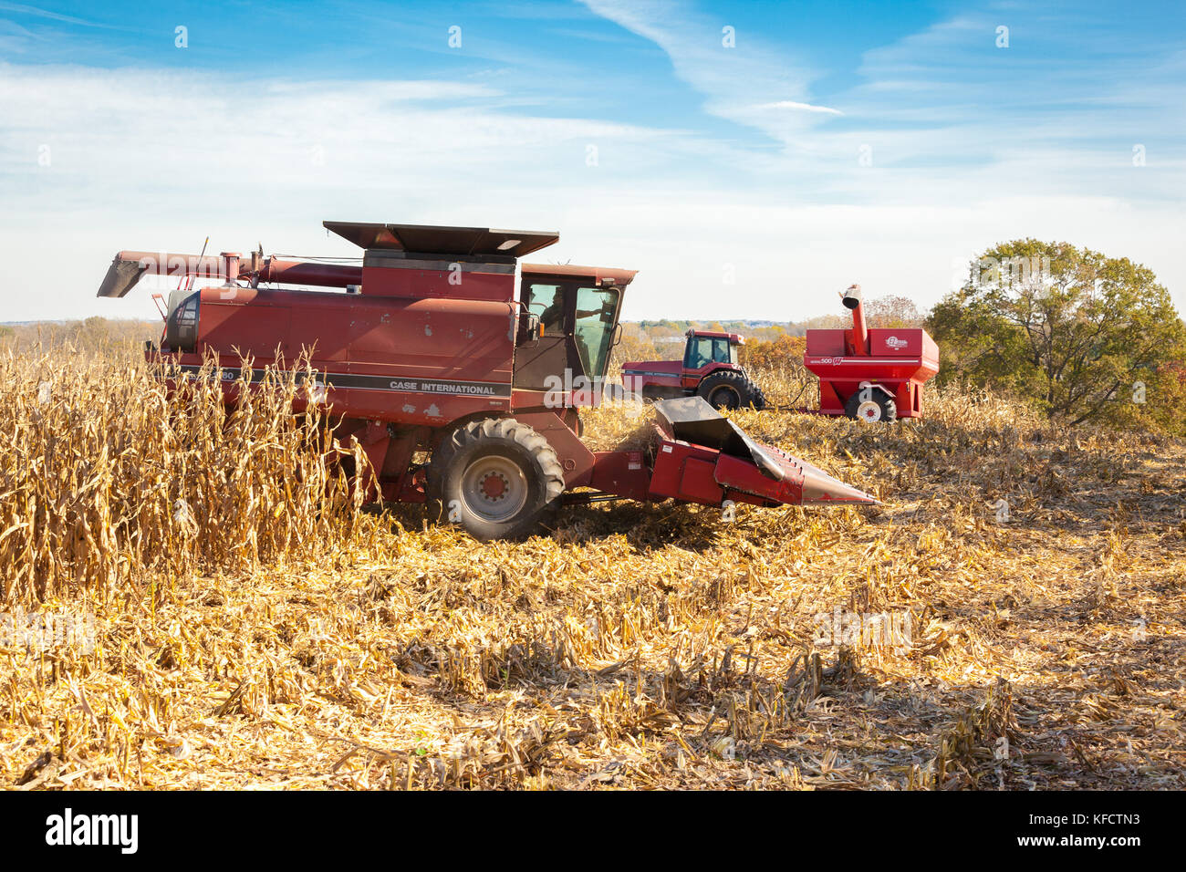 Une moissonneuse-batteuse Case IH 6 rangs sort de la lisière d'un champ de maïs et un tracteur Case IH et un chariot à grain d'attendre dans la distance sur une journée ensoleillée. Banque D'Images