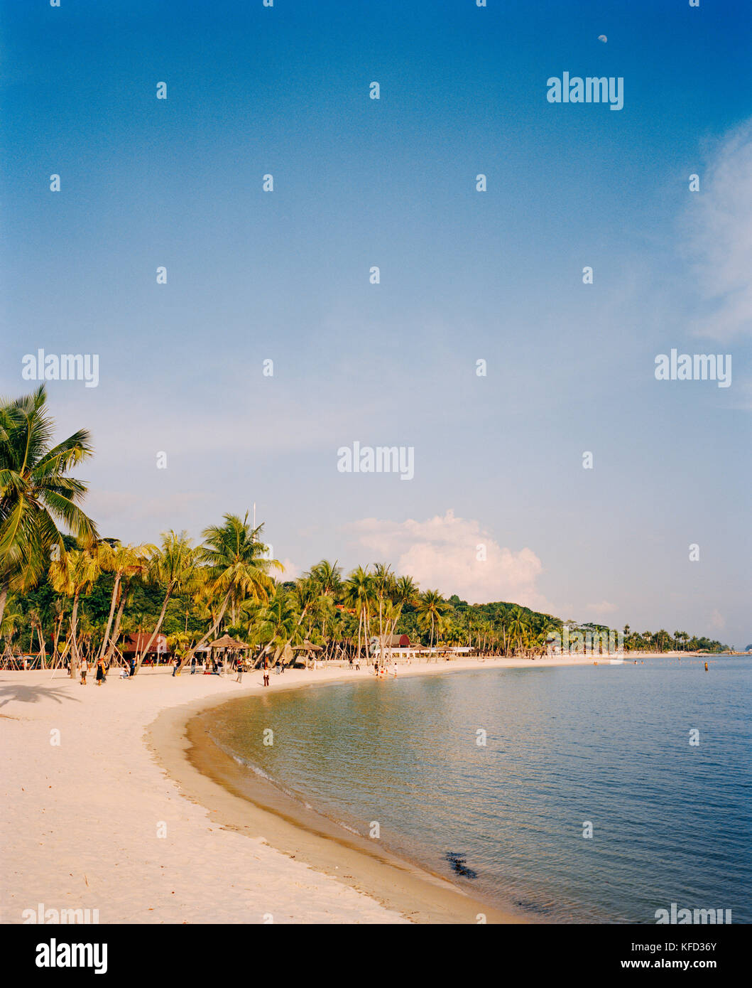 Singapour, l'île de Sentosa, vue de la plage de Siloso avec palmiers Banque D'Images