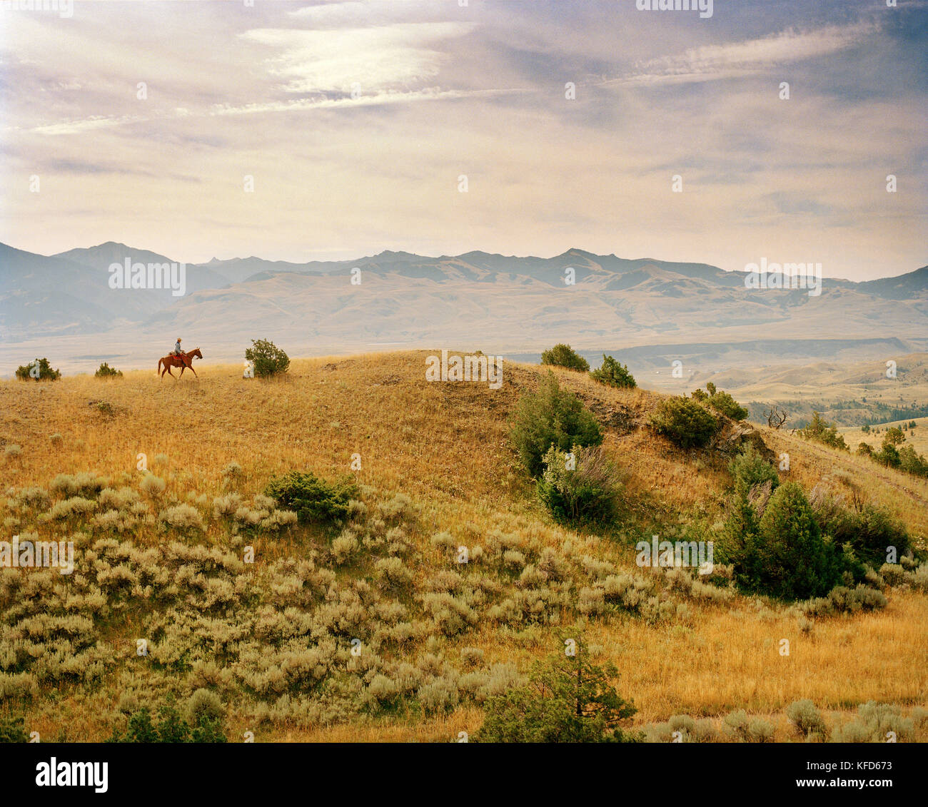 Usa, Montana, personne riding horse en paysage ouvert, Gallatin National forest, emigrant Banque D'Images