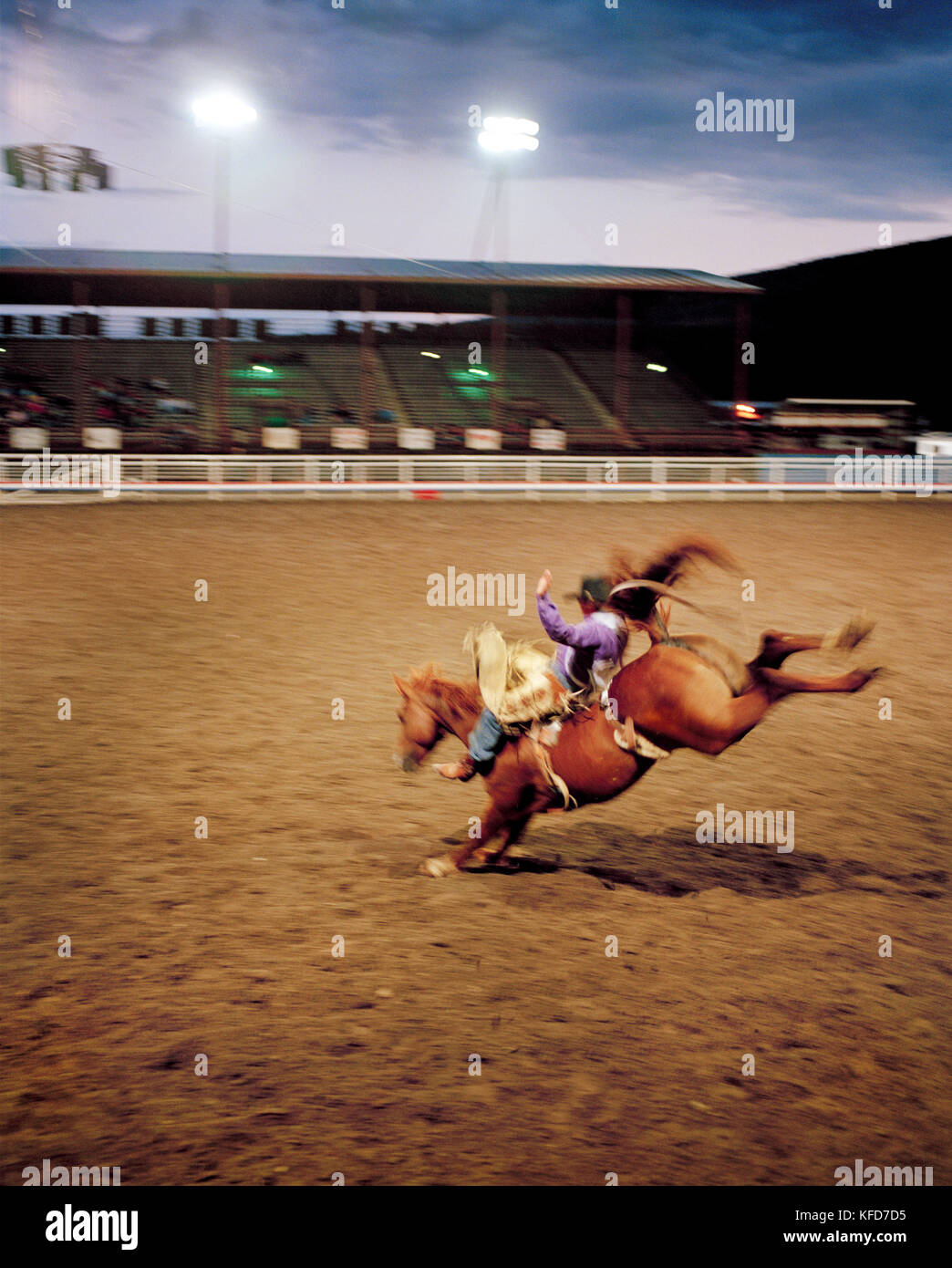Usa, Wyoming, saddle bronc rider au Cody rodeo Banque D'Images