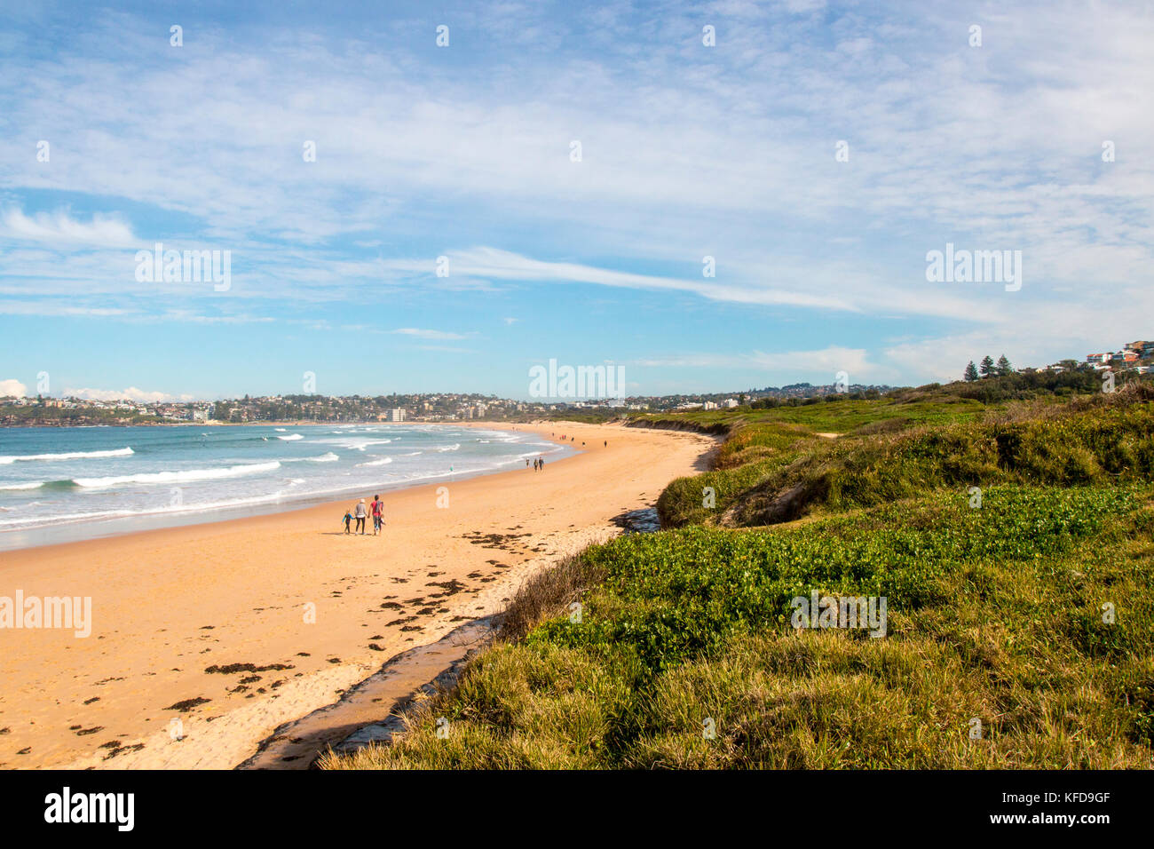 Côte de Corail longue réserve aquatique sur les plages du nord de Sydney, Nouvelle Galles du Sud, Australie Banque D'Images