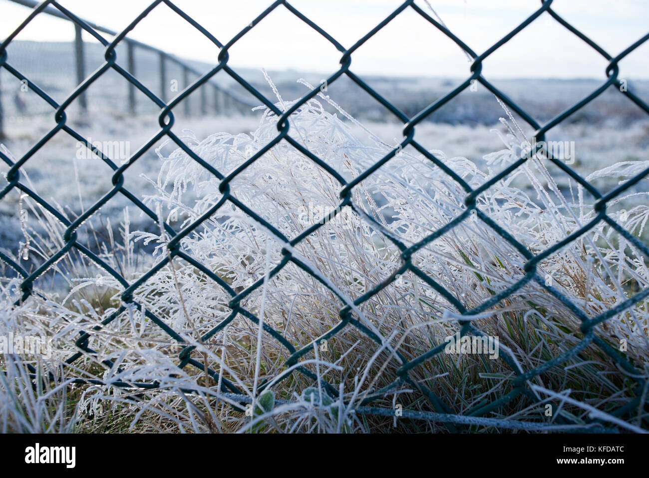 Hengitsbury la tête dans l'hiver - avec sur la terre Banque D'Images