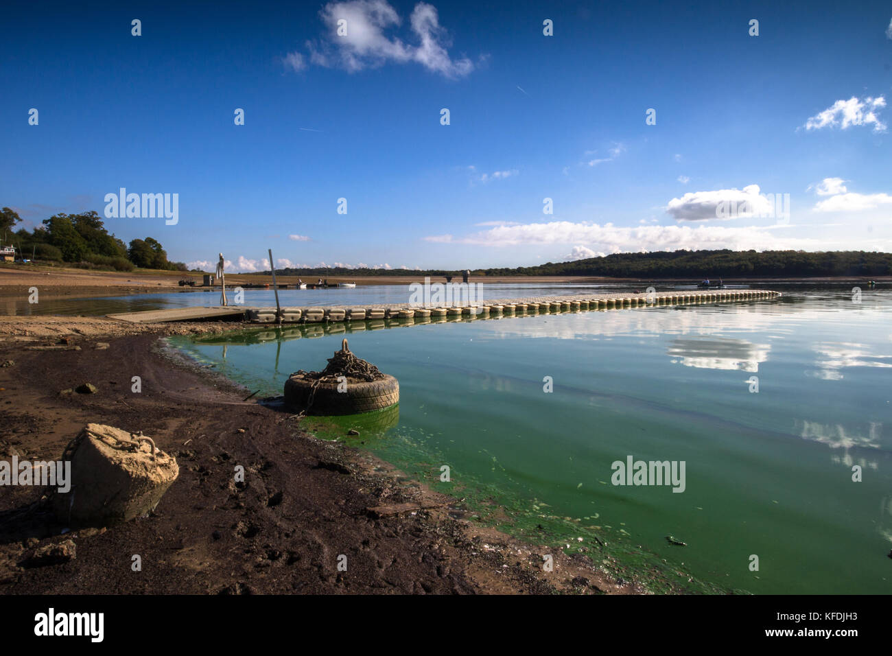 Bewl Water, Kent,sécheresse tire l'ancre sur les rives d'un réservoir avec de l'eau l'eau verte de la ligne de recul sur une journée ensoleillée avec des nuages bleus Banque D'Images