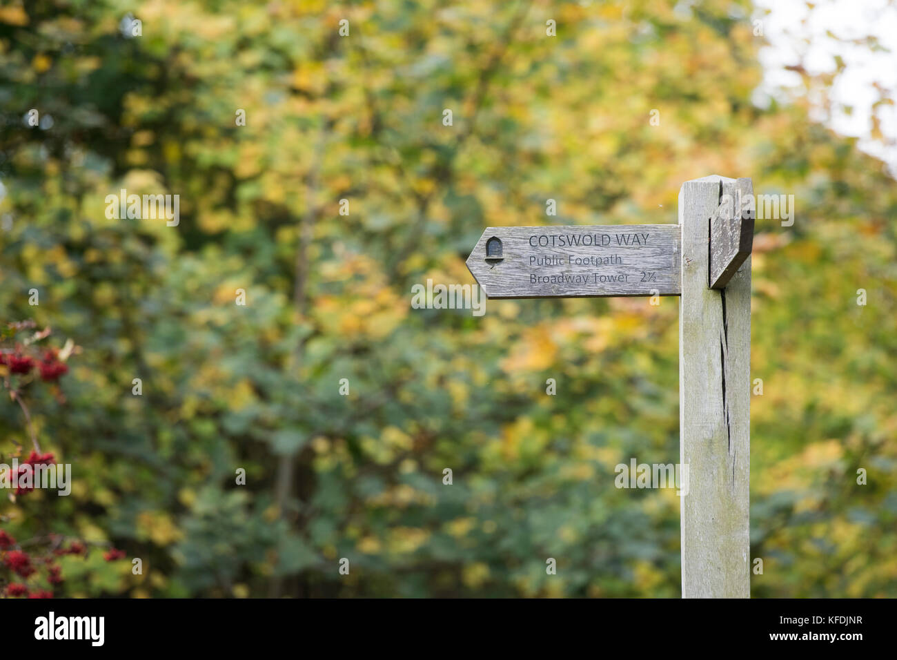 Cotswold Way panneau en face de arbres en automne. Chipping Campden, Gloucestershire, Cotswolds, en Angleterre Banque D'Images