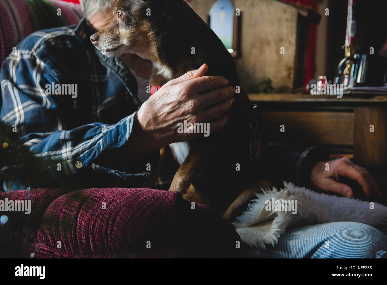 Vieil homme avec chien sur une chaise Banque D'Images