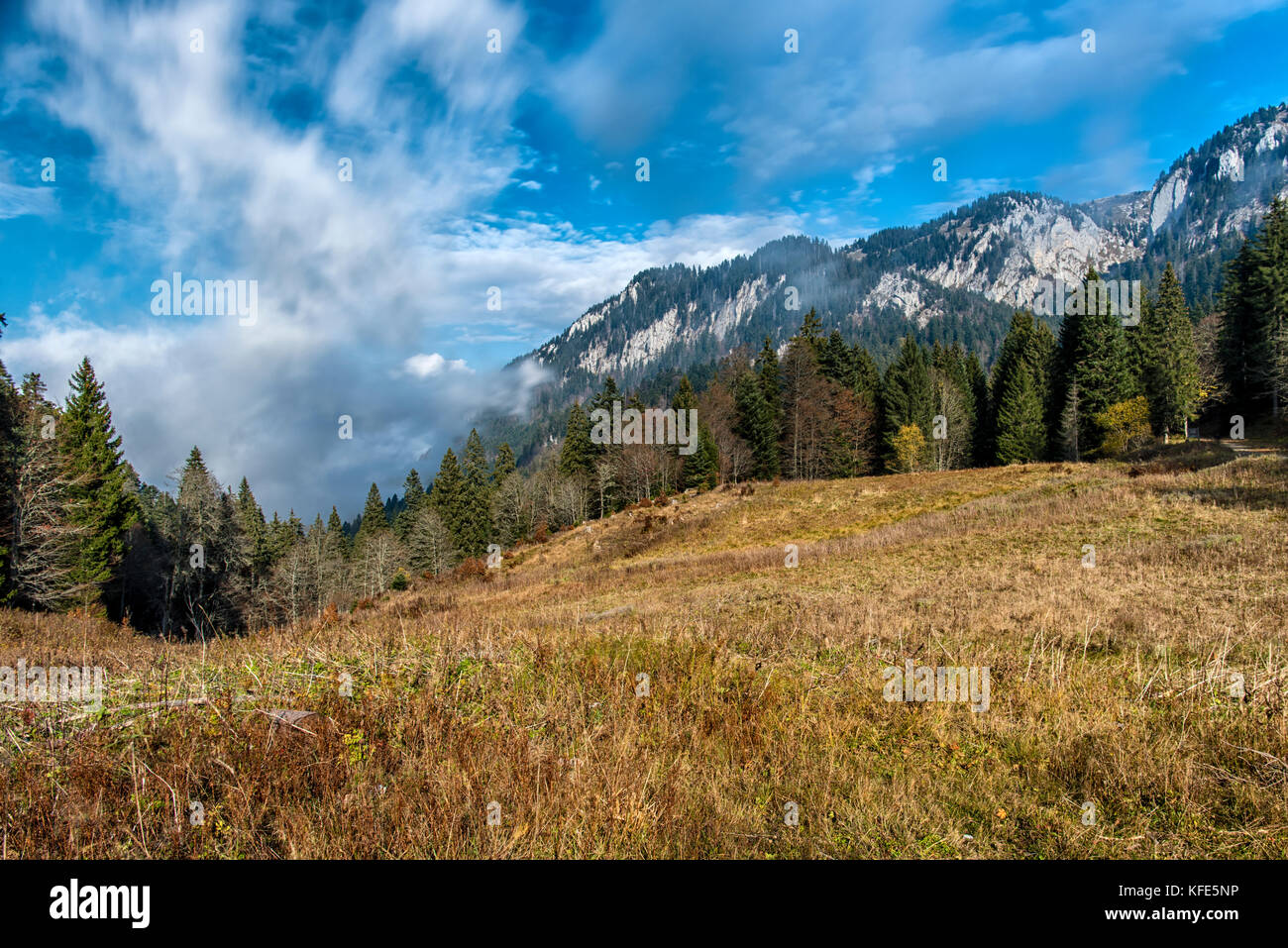 Vue de la Charmette colde, Alpes, avec une altitude de 1266 mètres / 4154 ft Banque D'Images