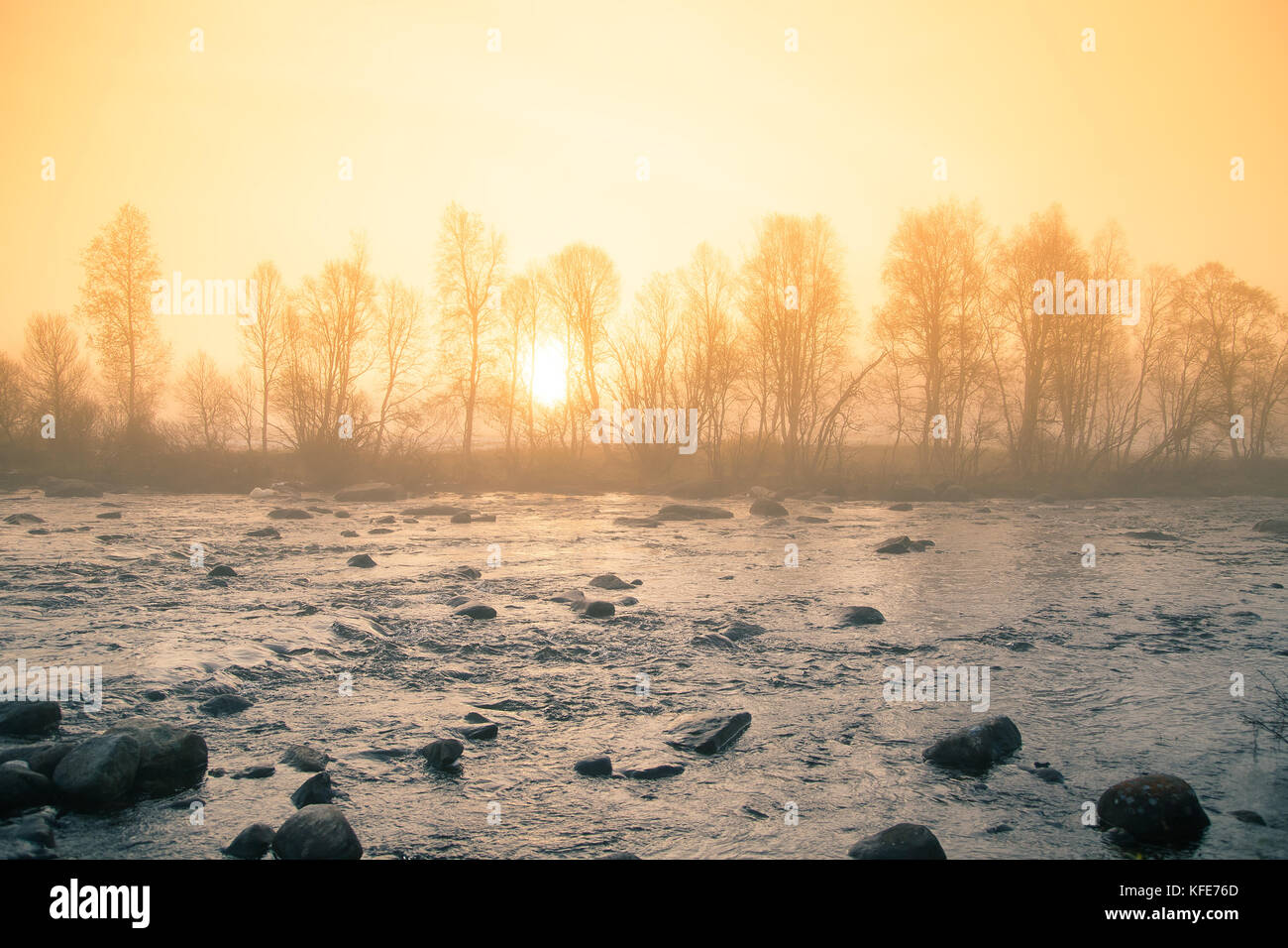 Un beau paysage coloré, matin brumeux à la rivière. météo norvégien en automne. matin paisible paysage. Banque D'Images