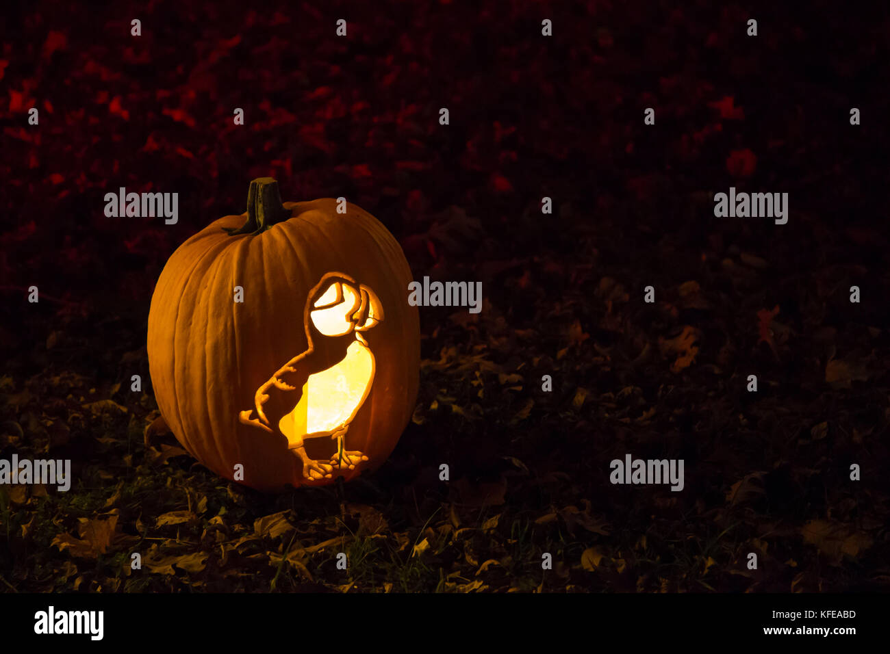 (Upper Canada Village, Canada---26 octobre 2017) Citrouille à Pumpkinferno macareux à Upper Canada Village en Ontario. Banque D'Images
