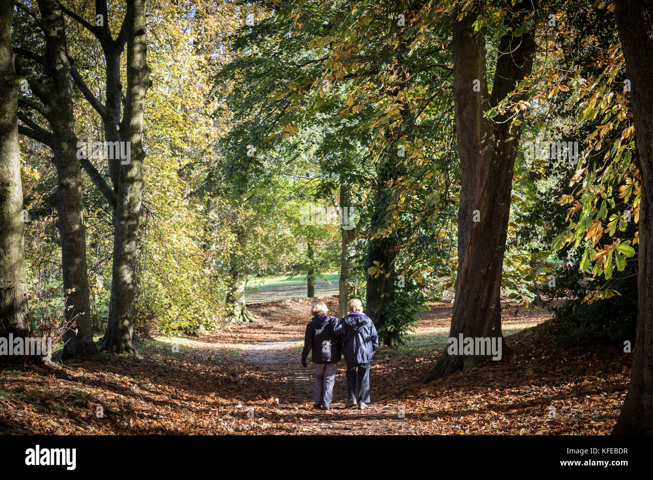 Les marcheurs profitez de l'automne couleurs des arbres dans le parc du château de Cliffe, Keighley, West Yorkshire Banque D'Images