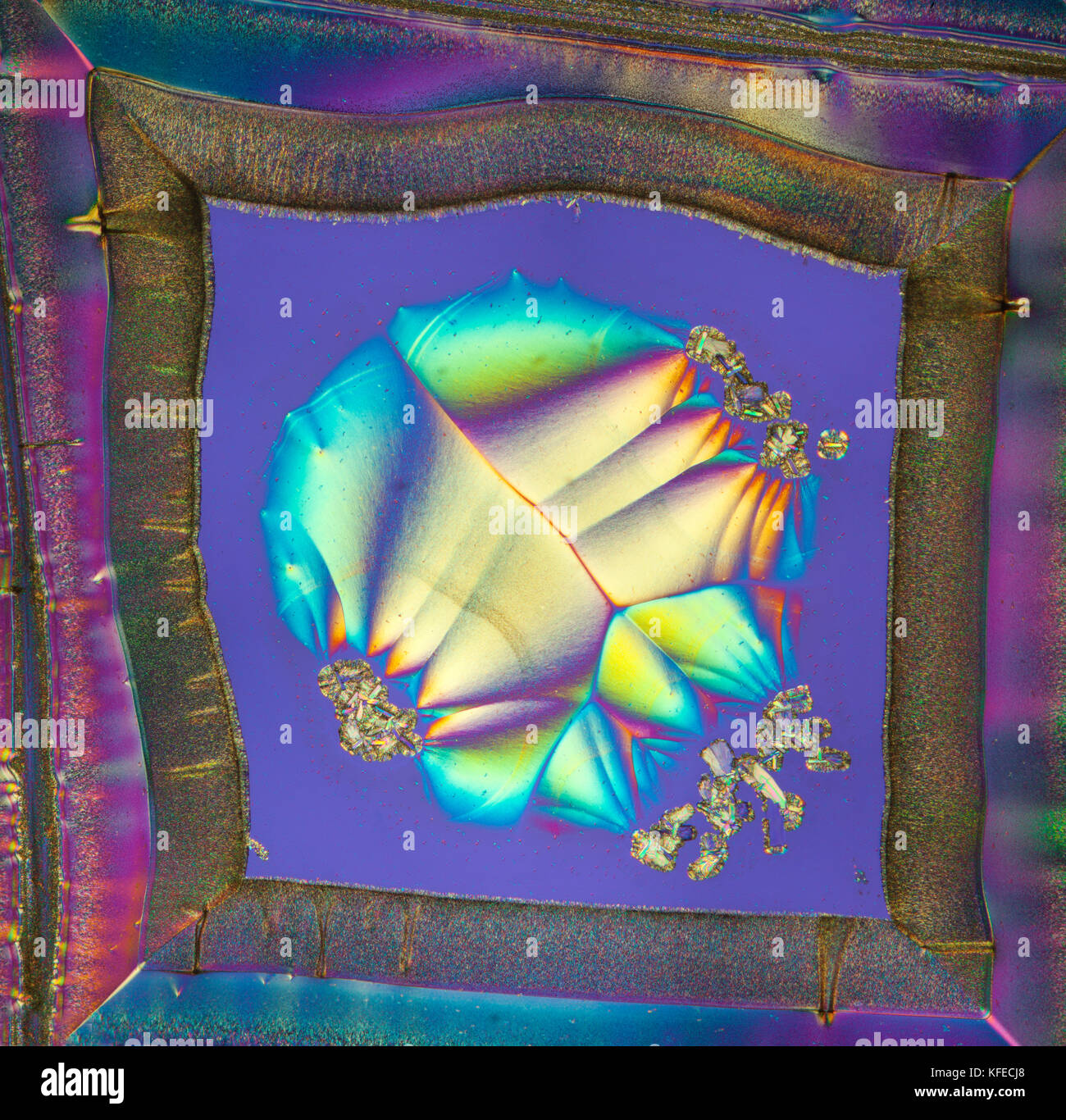 La vitamine C, les cristaux à polarisation croisée spectaculaire diapositive en utilisant un retard plaque supplémentaire, photomicrographie Banque D'Images