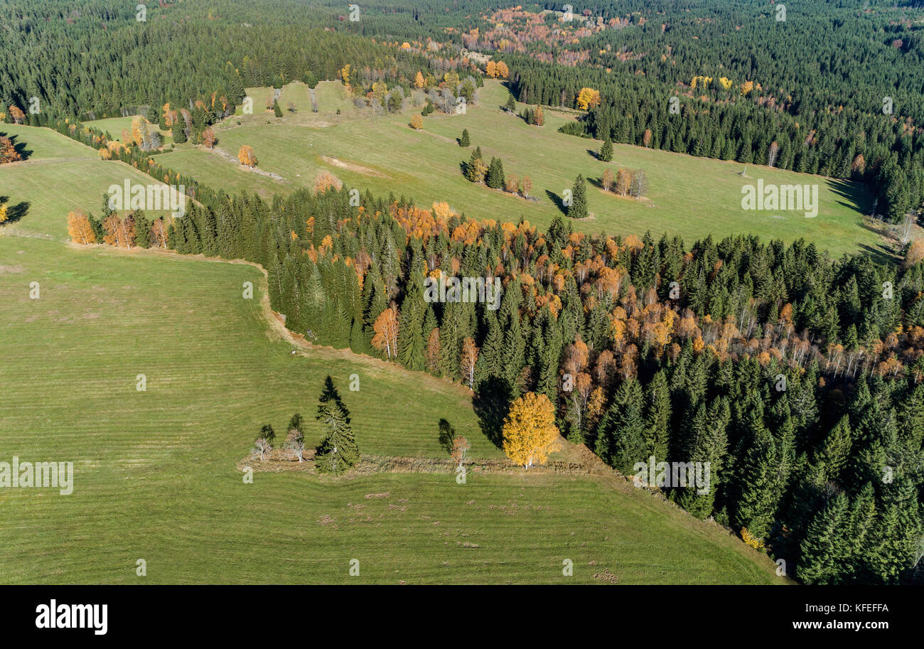 Vue aérienne sur chalupska moor en automne, le parc national de Sumava,, République tchèque. Banque D'Images