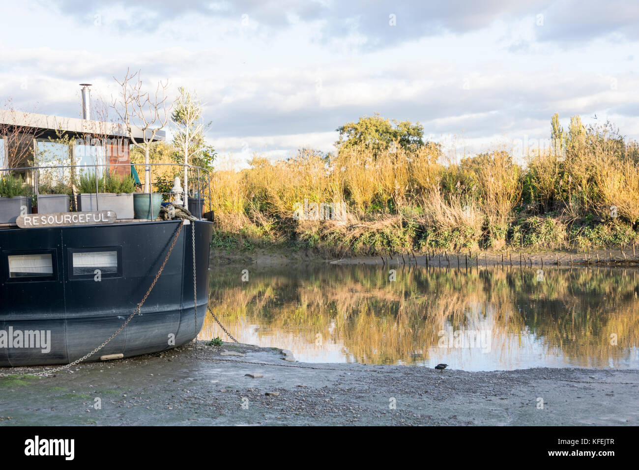 Emplacement de choix, amarres résidentielles sur la Tamise en face de Chiswick ait à Chiswick Draw Dock, à l'ouest de Londres, Royaume-Uni Banque D'Images