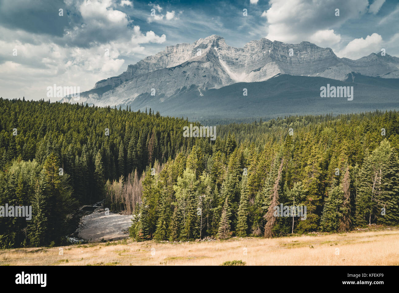 La rue vide avec panorama de montagnes dans le parc national de Banff, cana Banque D'Images