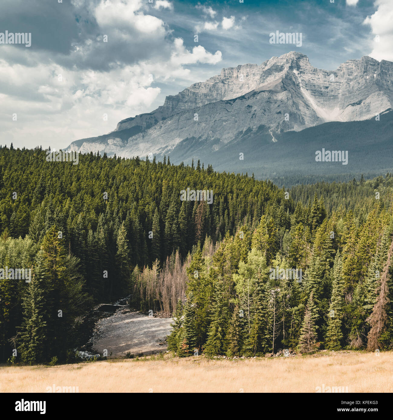 La rue vide avec panorama de montagnes dans le parc national de Banff, cana Banque D'Images