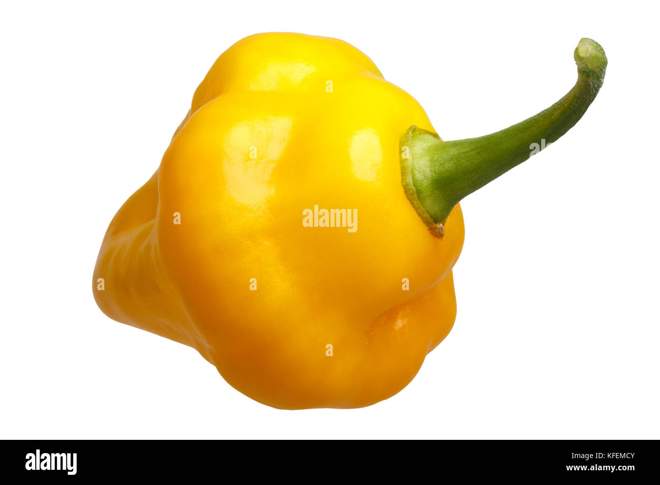 Trinité-parfum de piment (Capsicum chinense) chemin de détourage. Banque D'Images