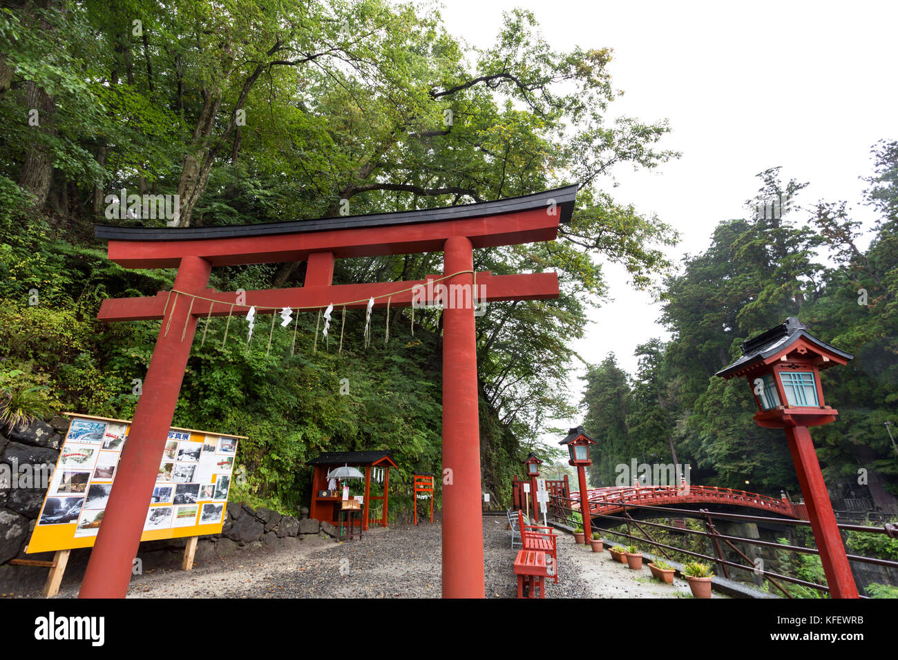 De torii rouge en bois rouge avec pont shinkyo et vert forêt après la pluie, le célèbre monument de le parc national de Nikko, Tochigi, au Japon. Banque D'Images