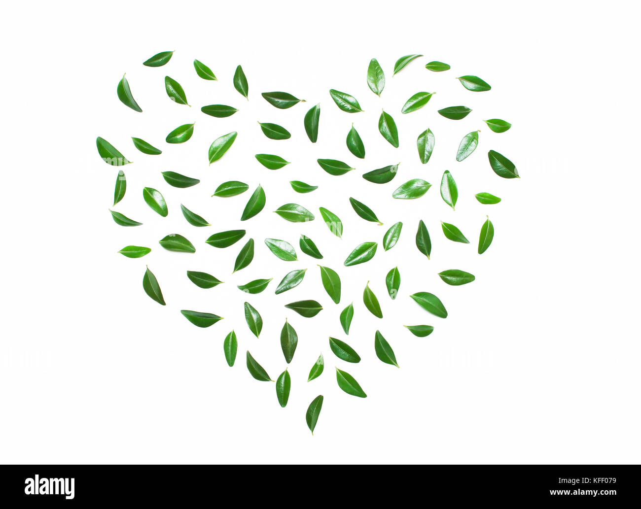 Coeur de feuilles vertes sur fond blanc.concept d'amour, de l'éco. type de télévision Banque D'Images
