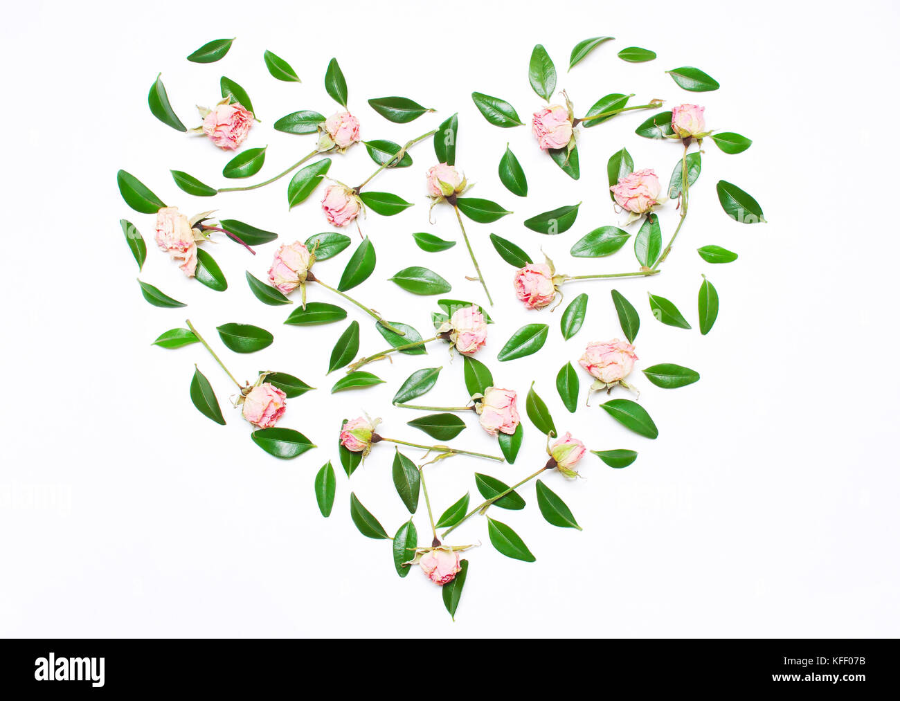 Les fleurs roses, feuilles vertes en forme de cœur sur un fond blanc. Le concept d'une maison de vacances de l'amour. haut de la vue, télévision Banque D'Images