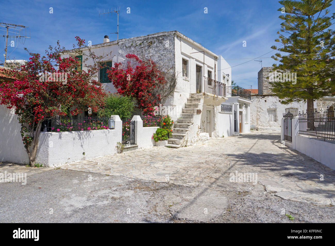 Maisons de village avec Bougainville à Melanes, l'île de Naxos, Cyclades, Mer Égée, Grèce Banque D'Images
