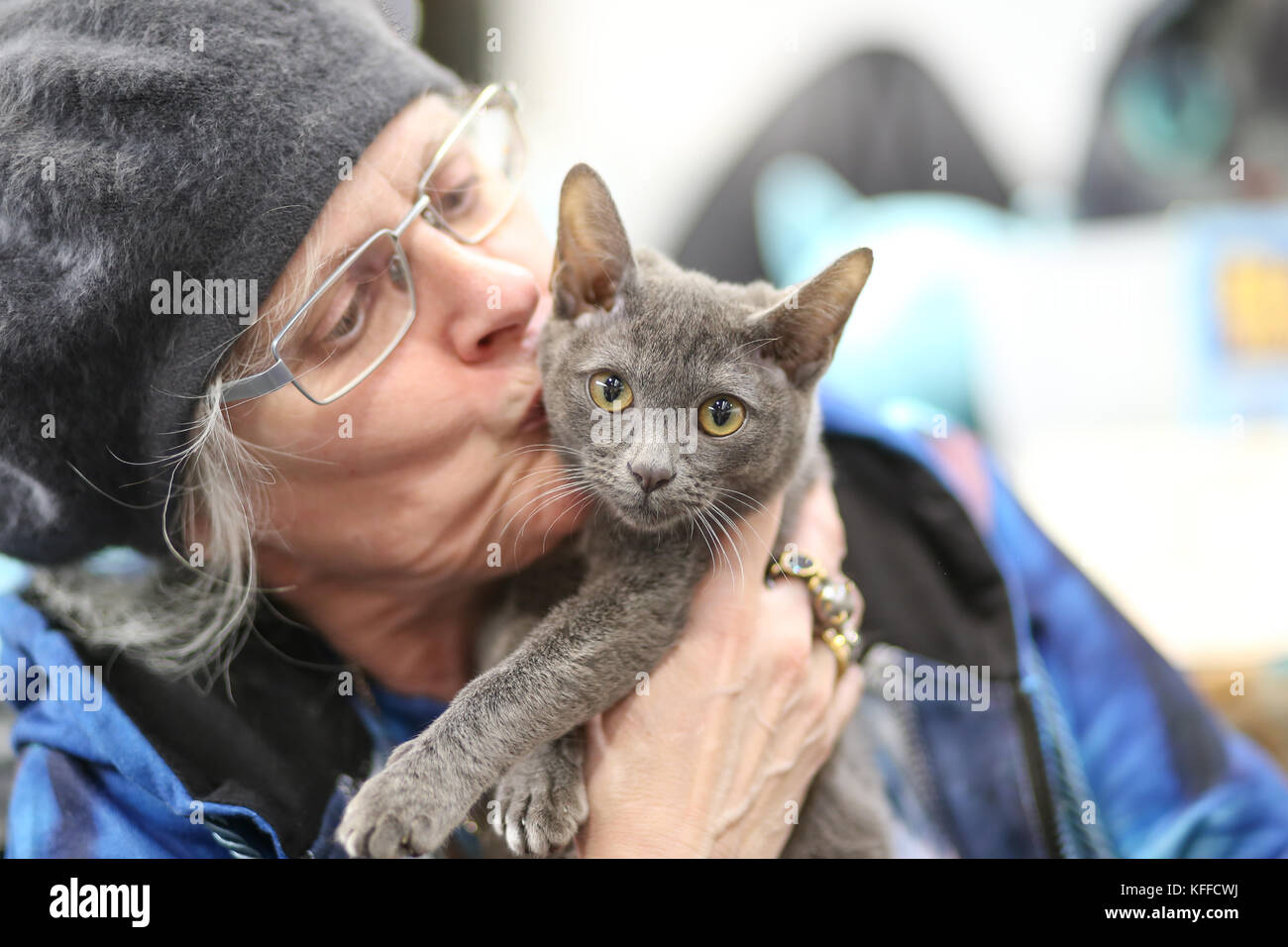 Birmingham, Royaume-Uni. 28 octobre 2017. Les chats et leurs propriétaires descendent sur le NEC pour montrer leurs chats élevés de pedigree. Un chat attend patiemment d'être jugé. Peter Lopeman/Alamy Live News Banque D'Images