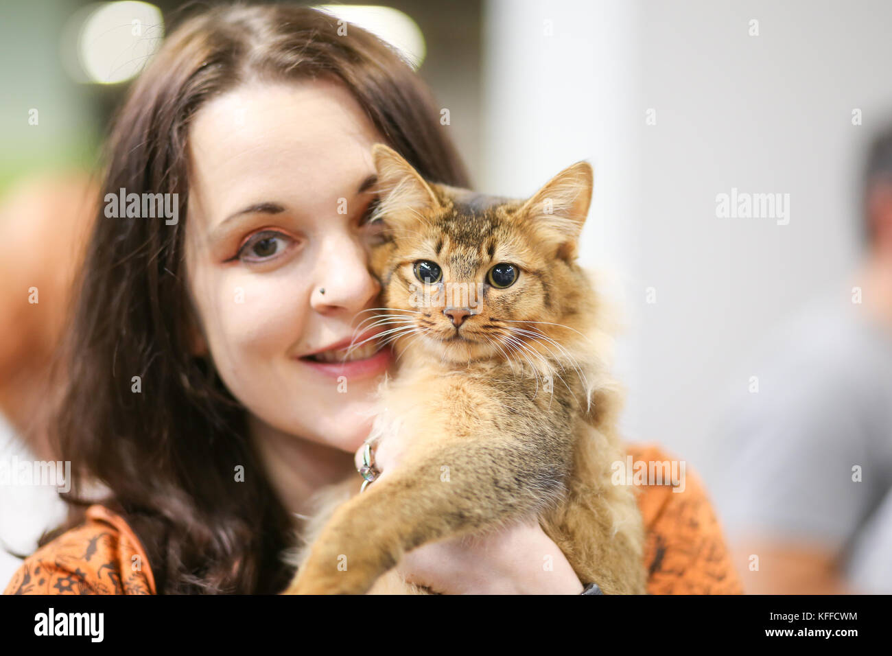 Birmingham, Royaume-Uni. 28 octobre 2017. Les chats et leurs propriétaires descendent sur le NEC pour montrer leurs chats élevés de pedigree. Un chat attend patiemment d'être jugé. Peter Lopeman/Alamy Live News Banque D'Images