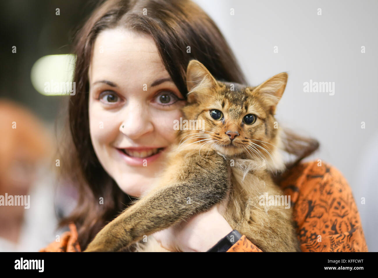 Birmingham, Royaume-Uni. 28 octobre 2017. Les chats et leurs propriétaires descendent sur le NEC pour montrer leurs chats élevés de pedigree. Un chat attend patiemment d'être jugé. Peter Lopeman/Alamy Live News Banque D'Images