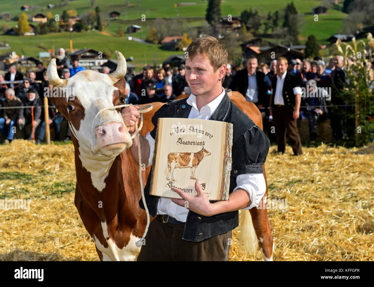 Gstaad, Suisse. 28 octobre 2017. Le propriétaire de la vache Fleckvieh Suisse Falk montre fièrement un prix reçu le SWISSCOW Topschau Saanenland, Gstaad, Suisse crédit: GFC Collection/Alay Live News Banque D'Images