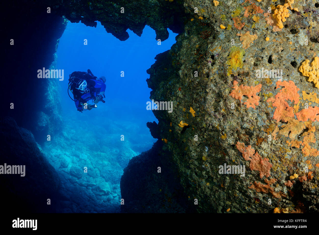 Suba Diver à l'entrée d'une grotte, Mer Adriatique, Mer méditerranée, Île Lastovo, Dalmatie, Croatie, MR Oui Banque D'Images