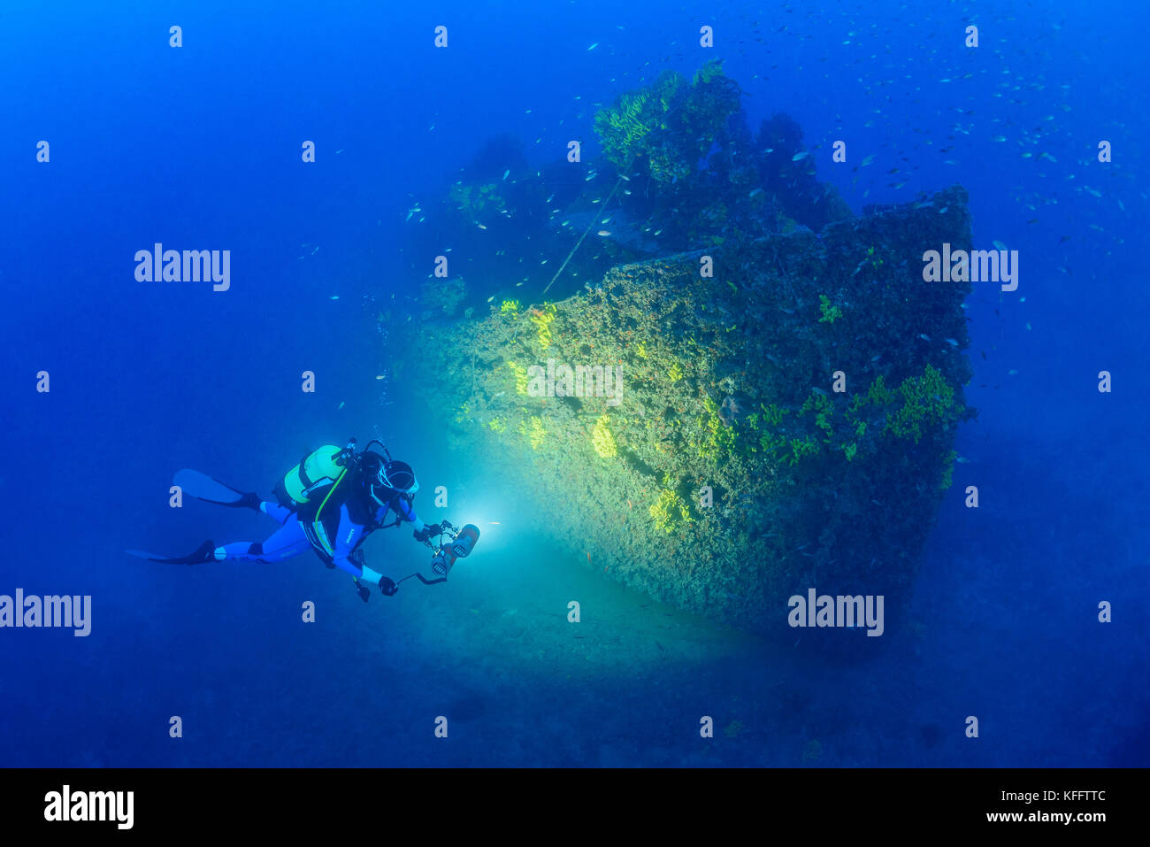 Naufrage Pelero et plongée sous-marine, Ubli, Lastovo, mer Adriatique, mer Méditerranée, Croatie Banque D'Images