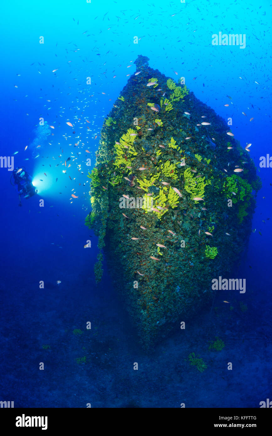 Naufrage pelero et scuba diver, ubli, lastovo, mer Adriatique, mer méditerranée, Croatie Banque D'Images