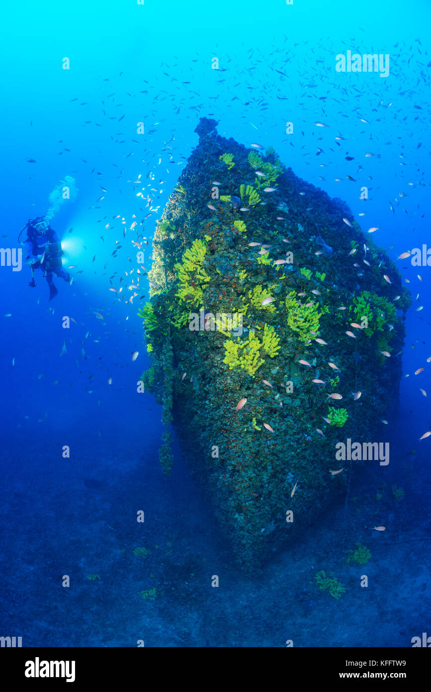 Naufrage pelero et scuba diver, ubli, lastovo, mer Adriatique, mer méditerranée, Croatie Banque D'Images
