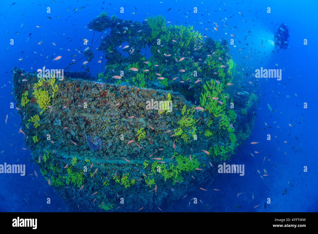 Naufrage Pelero et plongée sous-marine, Ubli, Lastovo, mer Adriatique, mer Méditerranée, Croatie Banque D'Images