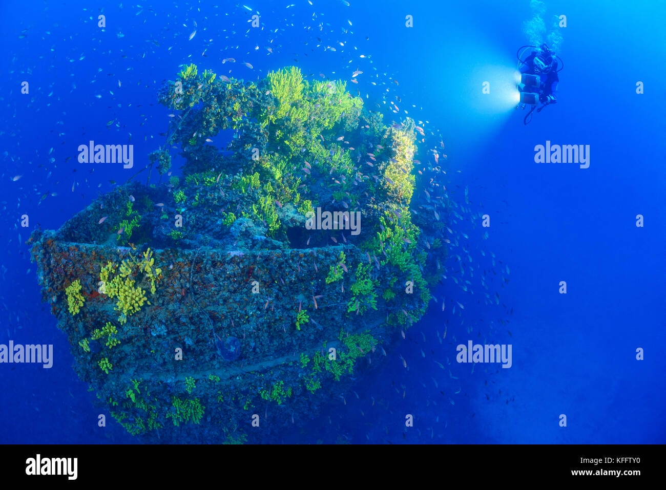 Naufrage Pelero et plongée sous-marine, Ubli, Lastovo, mer Adriatique, mer Méditerranée, Croatie Banque D'Images