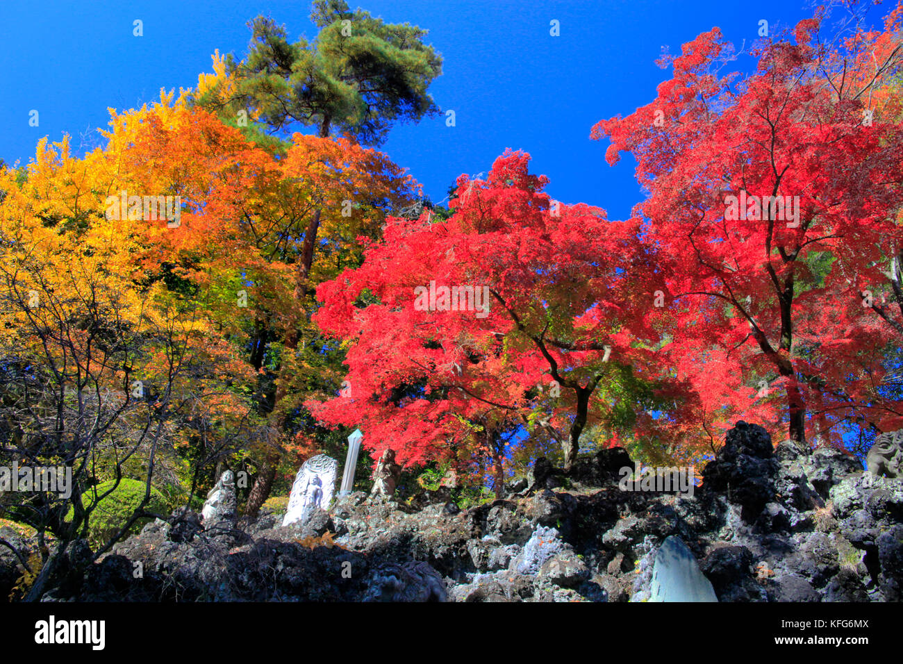 Automne couleur dans tokumeien jardins en ville takasaki gunma japon Banque D'Images