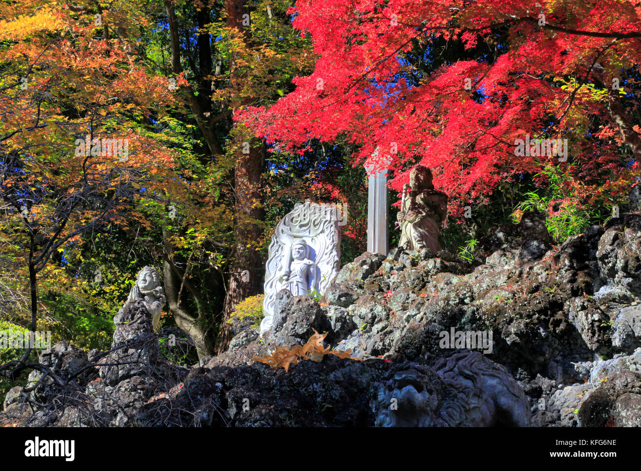 Automne couleur dans tokumeien jardins en ville takasaki gunma japon Banque D'Images