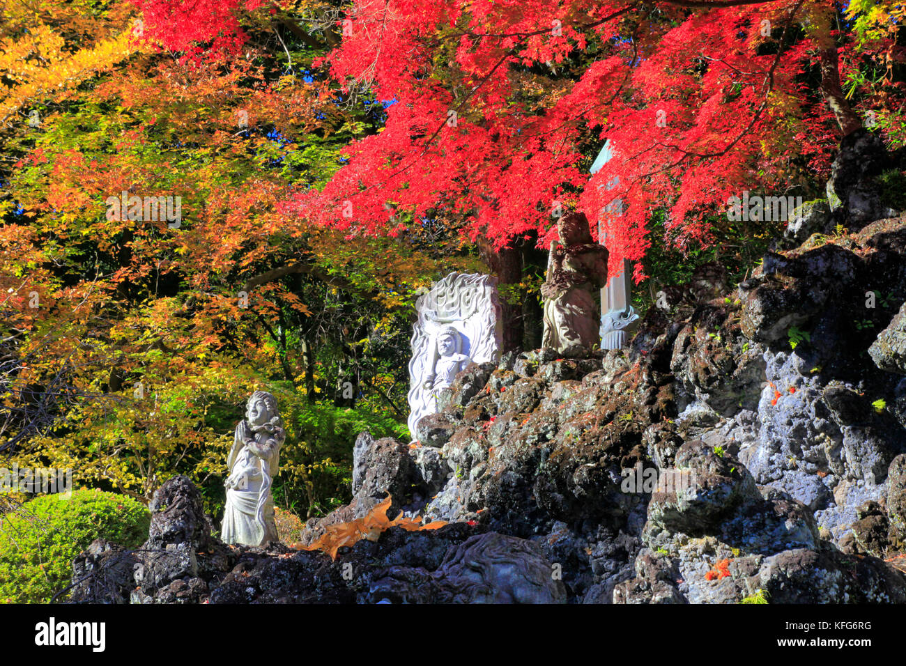 Automne couleur dans tokumeien jardins en ville takasaki gunma japon Banque D'Images