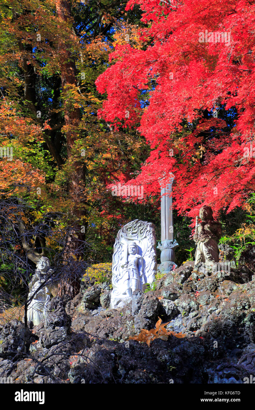 Automne couleur dans tokumeien jardins en ville takasaki gunma japon Banque D'Images