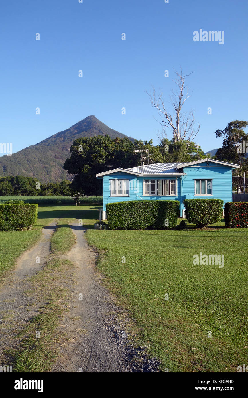 Cottage de style Queenslander caractéristique entre les champs de canne à sucre près de la pyramide de Walsh, Gordonvale, près de Cairns, Queensland, Australie. Pas de PR Banque D'Images