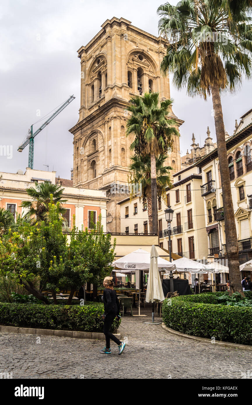 Metropolitan Tower, Cathédrale de l'église sainte de l'Incarnation, de styles Renaissance et baroque espagnol, Grenade, Andalousie, Espagne Banque D'Images