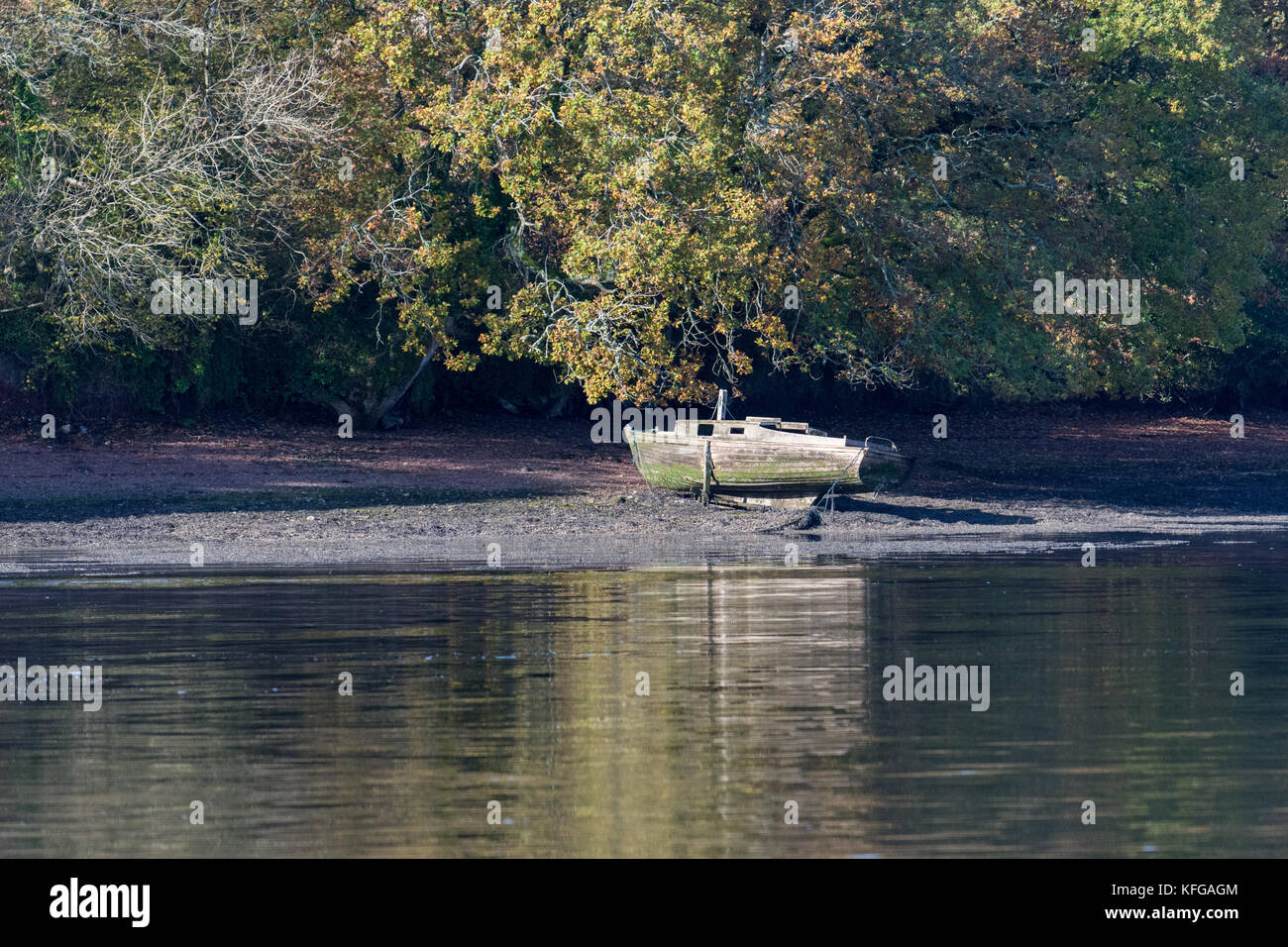 Vieux bateau sur les rives de la voie navigable de Upper Cleddau à marée basse. Banque D'Images